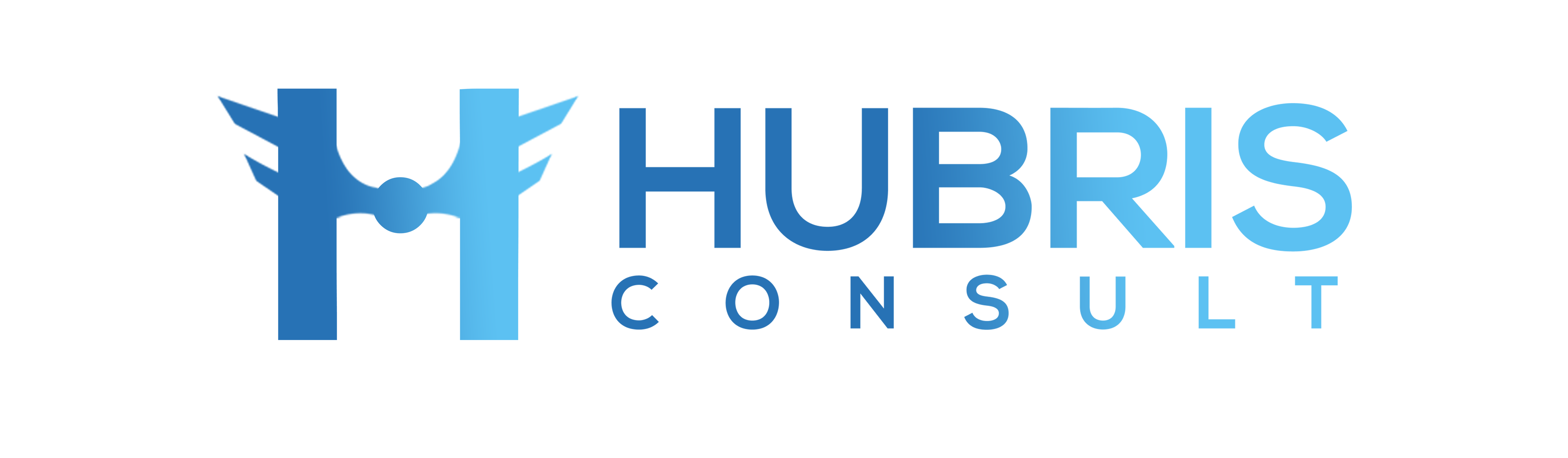Hubris Consult Limited
